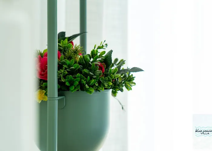 Blue Seaview Apartamento